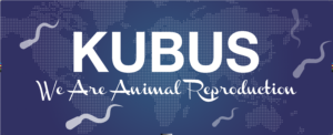 kubus logo 2021